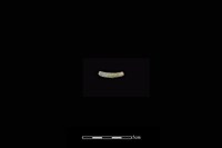 陶環藏品圖，第2張